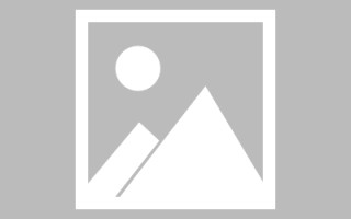 临沂最佳网站建设（网站建设哪个平台最好）